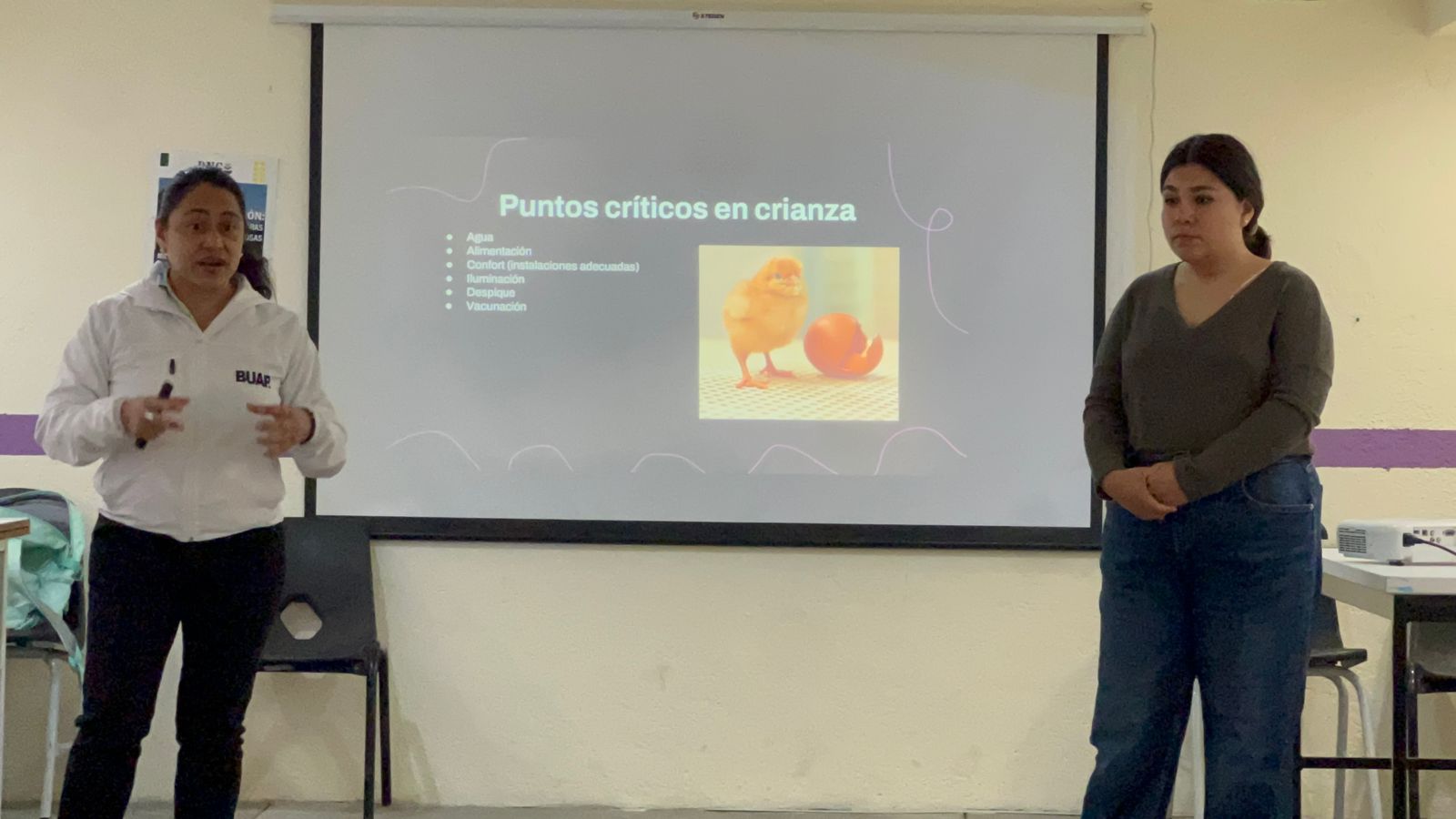 Preparando un hogar para 200 gallinas ponedoras: capacitación en San Jerónimo Tecuanipan