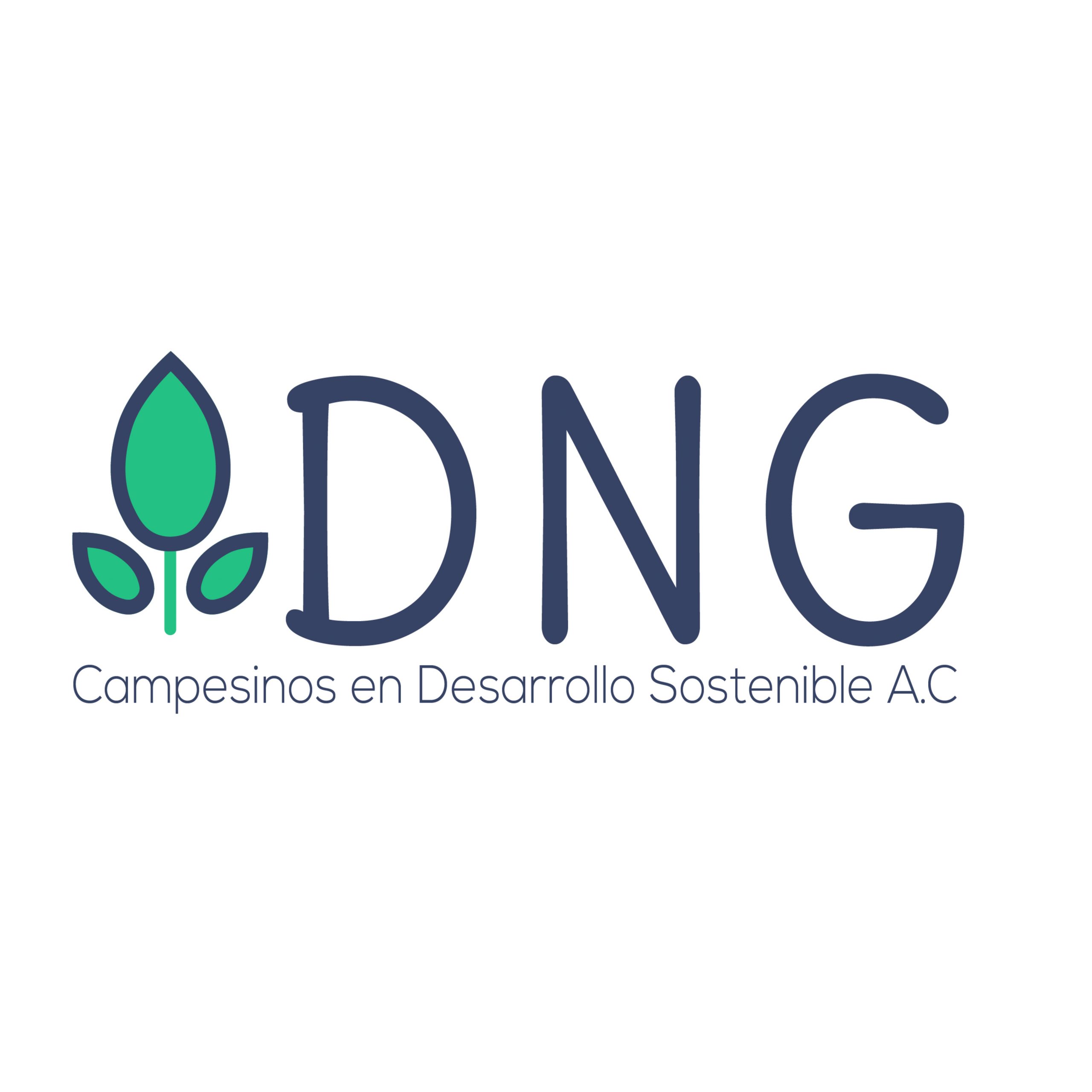 DNG Sustentable